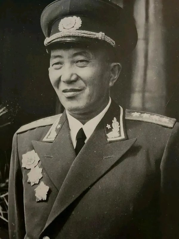 毛泽东两次拒绝接见罗瑞卿，大将留遗书跳楼，叶剑英嘲讽：将军一跳身名裂