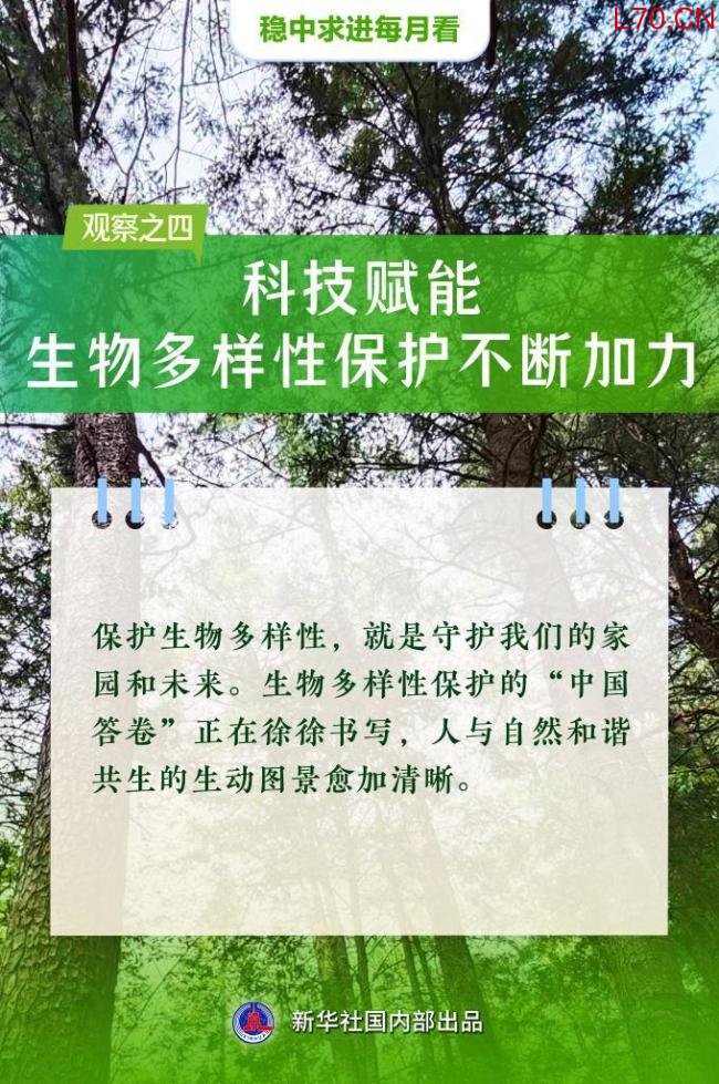 5月全国各地经济社会发展观察 稳中有进向新向优