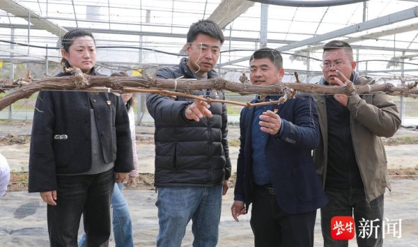 句容多部门组建科技专家团，田间地头精准护航春耕备耕
