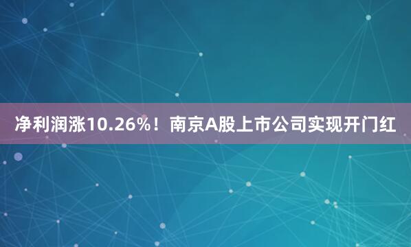 净利润涨10.26%！南京A股上市公司实现开门红