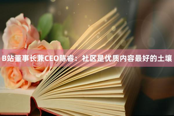 B站董事长兼CEO陈睿:社区是优质内容最好的土壤