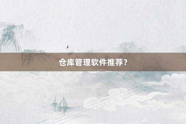 仓库管理软件推荐？
