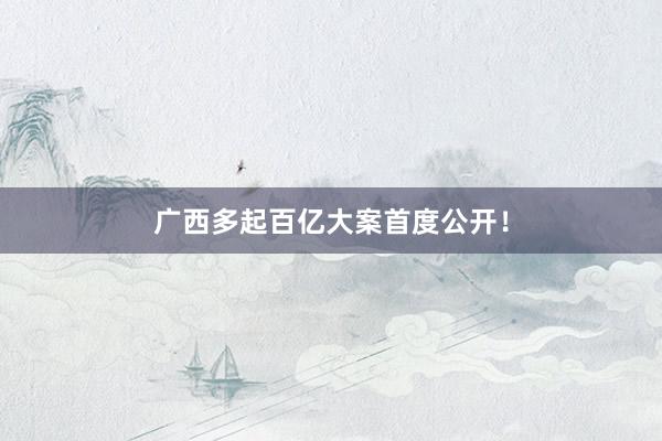 广西多起百亿大案首度公开!
