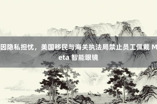因隐私担忧，美国移民与海关执法局禁止员工佩戴 Meta 智能眼镜