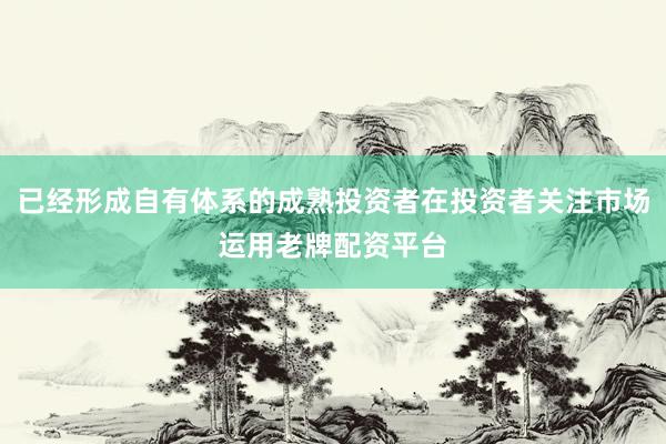 已经形成自有体系的成熟投资者在投资者关注市场运用老牌配资平台