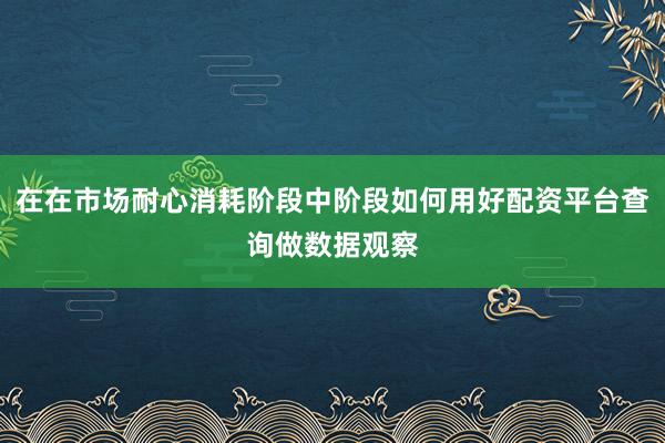 在在市场耐心消耗阶段中阶段如何用好配资平台查询做数据观察