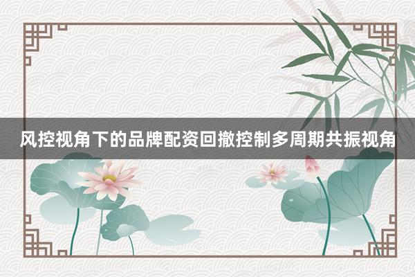 风控视角下的品牌配资回撤控制多周期共振视角