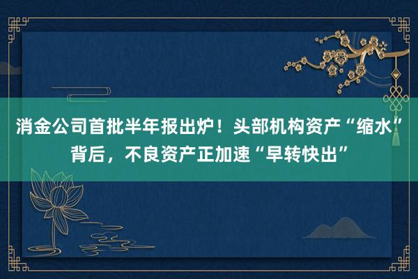 消金公司首批半年报出炉！头部机构资产“缩水”背后，不良资产正加速“早转快出”
