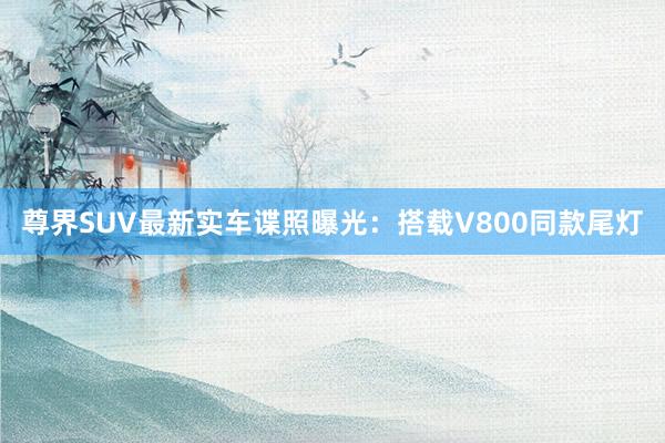 尊界SUV最新实车谍照曝光：搭载V800同款尾灯