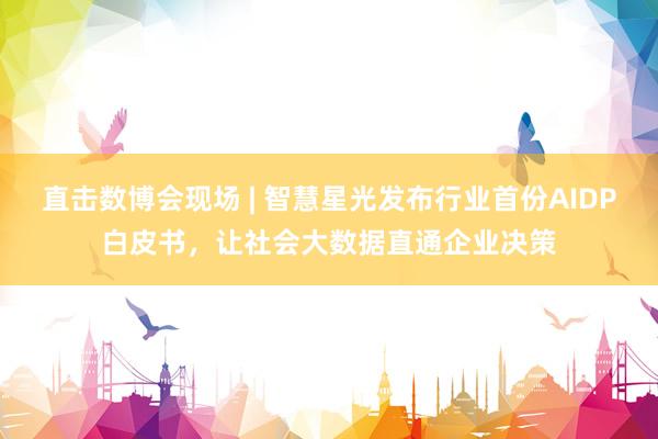 直击数博会现场 | 智慧星光发布行业首份AIDP白皮书，让社会大数据直通企业决策