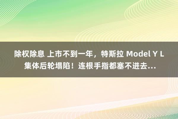 除权除息 上市不到一年，特斯拉 Model Y L 集体后轮塌陷！连根手指都塞不进去…