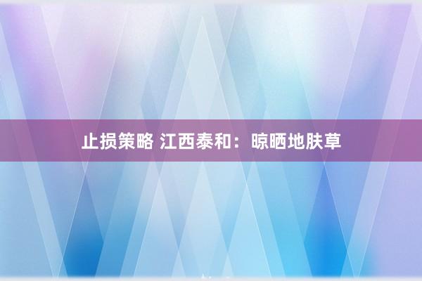止损策略 江西泰和：晾晒地肤草