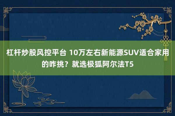 杠杆炒股风控平台 10万左右新能源SUV适合家用的咋挑?就选极狐阿尔法T5