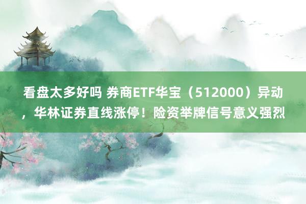 看盘太多好吗 券商ETF华宝（512000）异动，华林证券直线涨停！险资举牌信号意义强烈