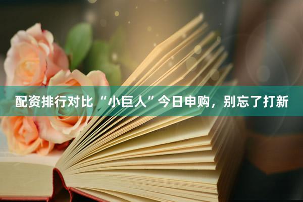配资排行对比 “小巨人”今日申购，别忘了打新