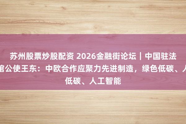 苏州股票炒股配资 2026金融街论坛｜中国驻法国大使馆公使王东：中欧合作应聚力先进制造，绿色低碳、人工智能
